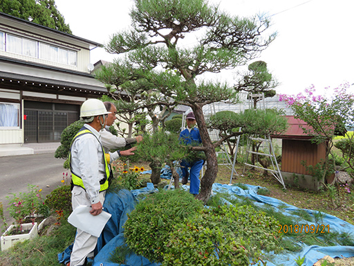 花巻シルバー　空き家　庭木・枝切り